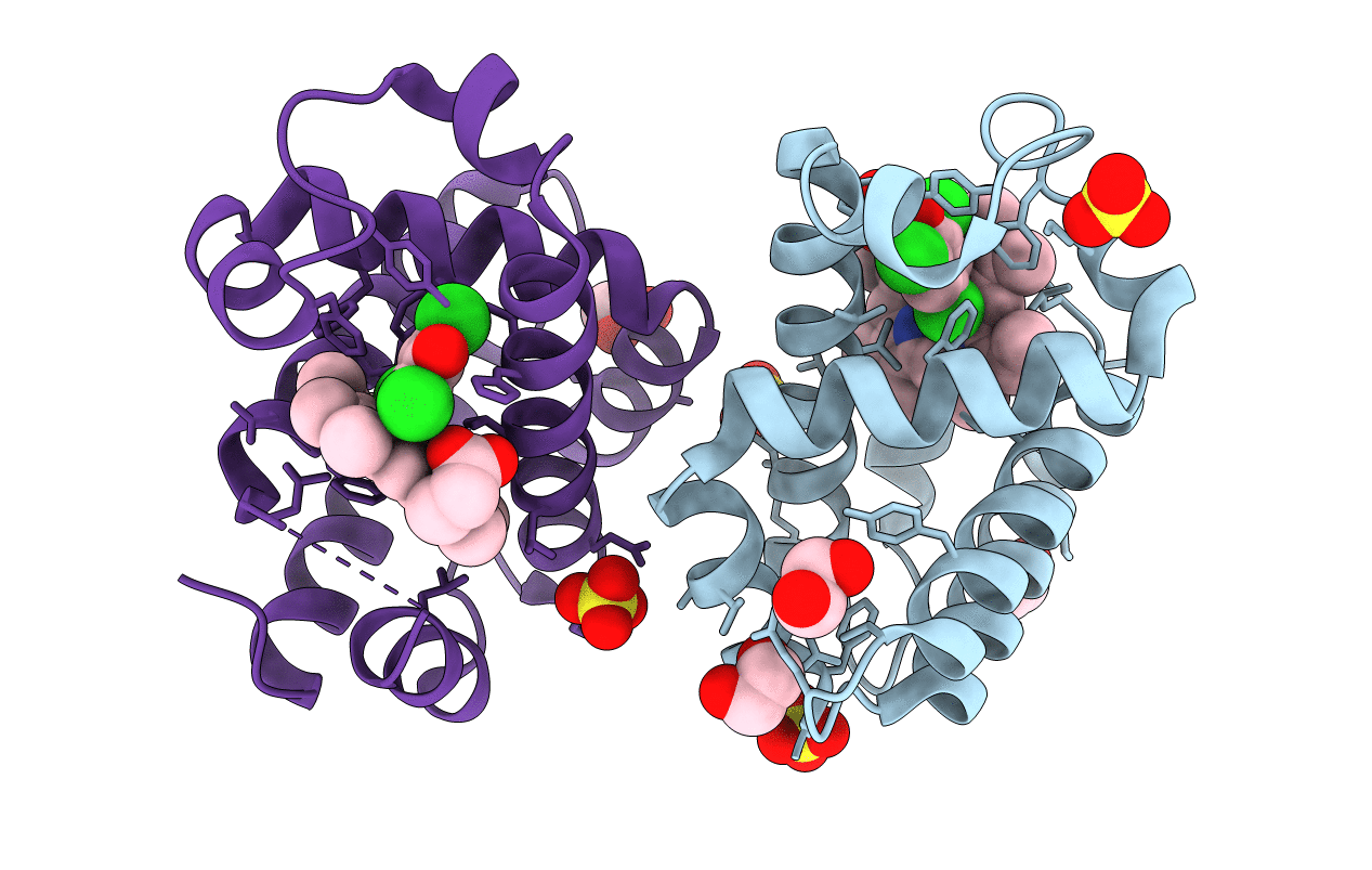 6VD5 image