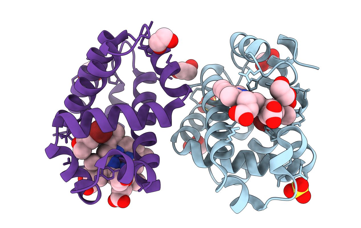 6VDS image