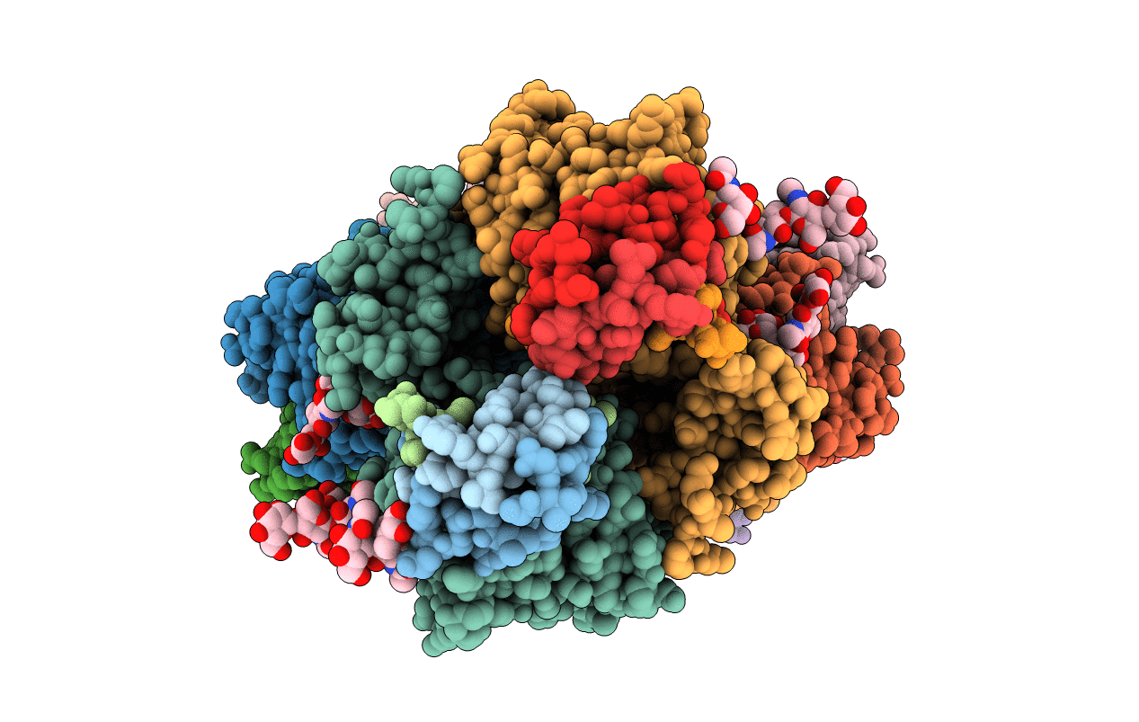 6VEP image