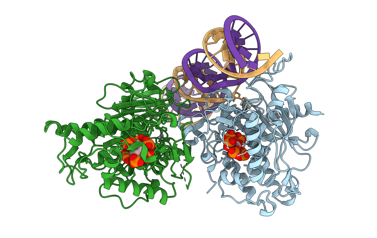 6VFF image