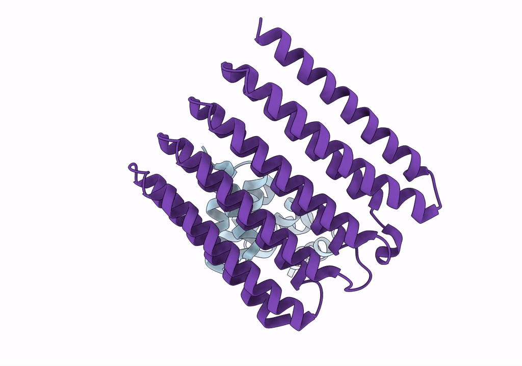 6VFH image