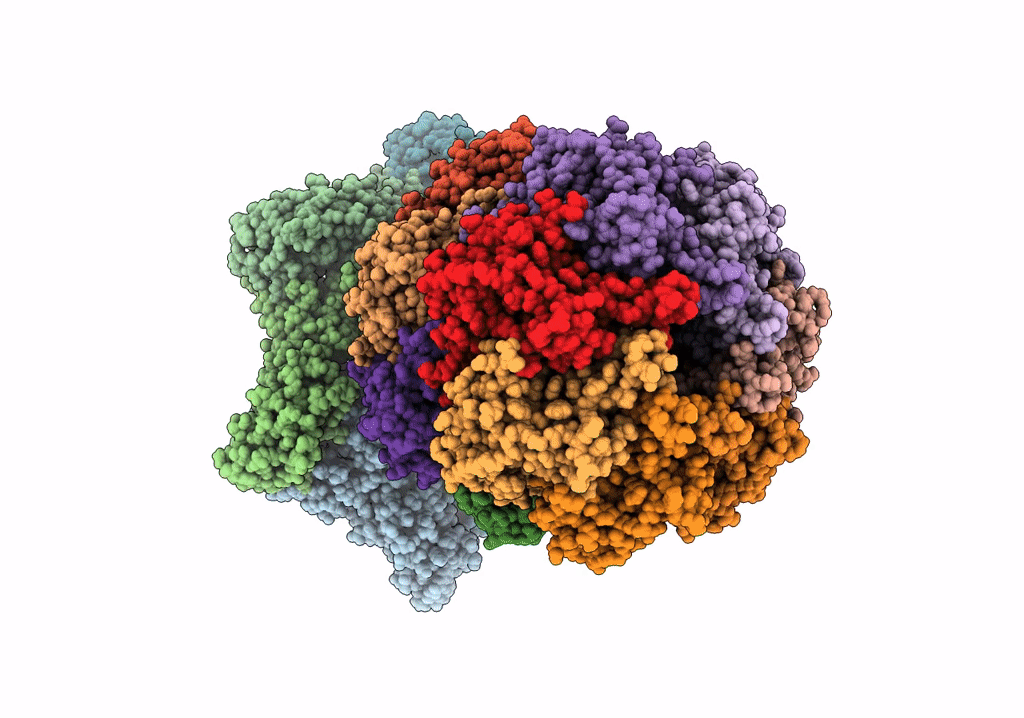 6VFS image