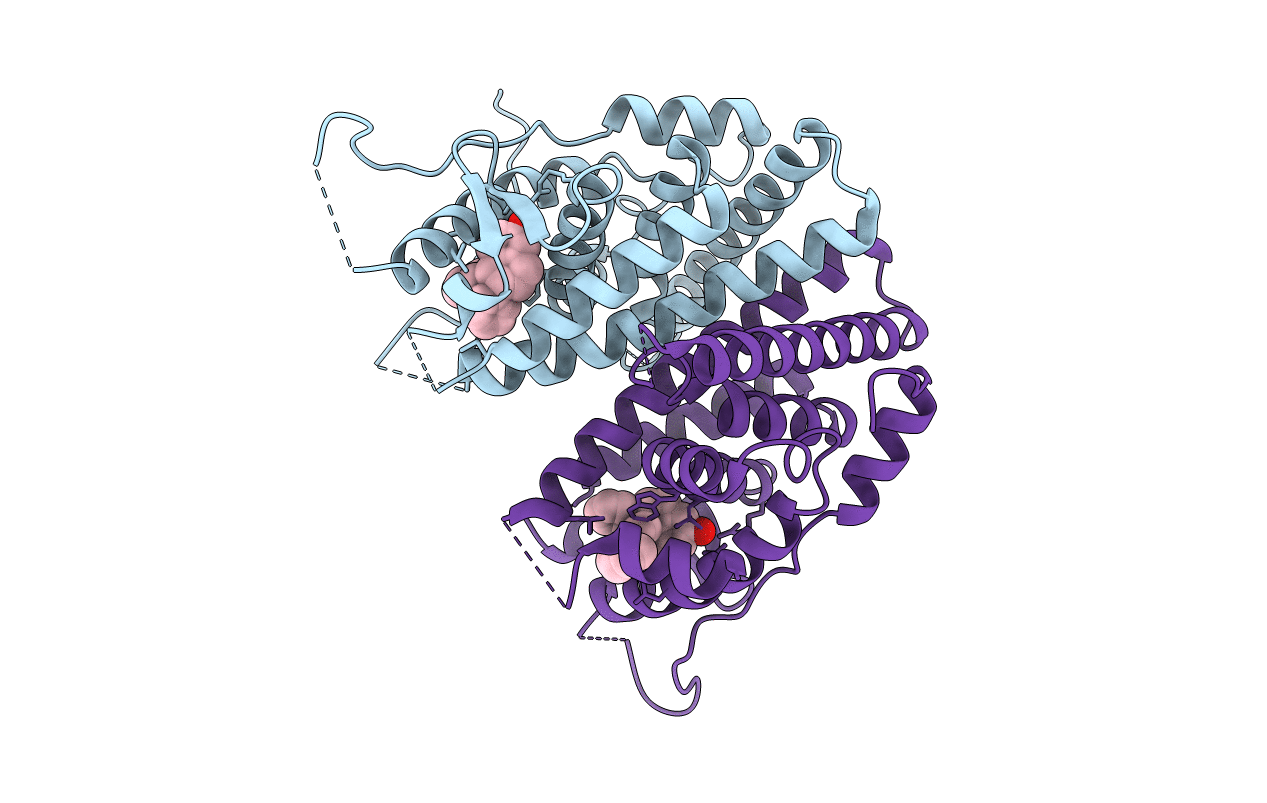 6VGH image