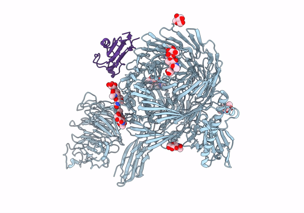 6VHH image