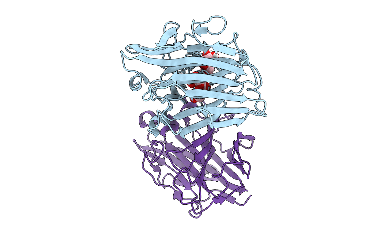 6VHO image