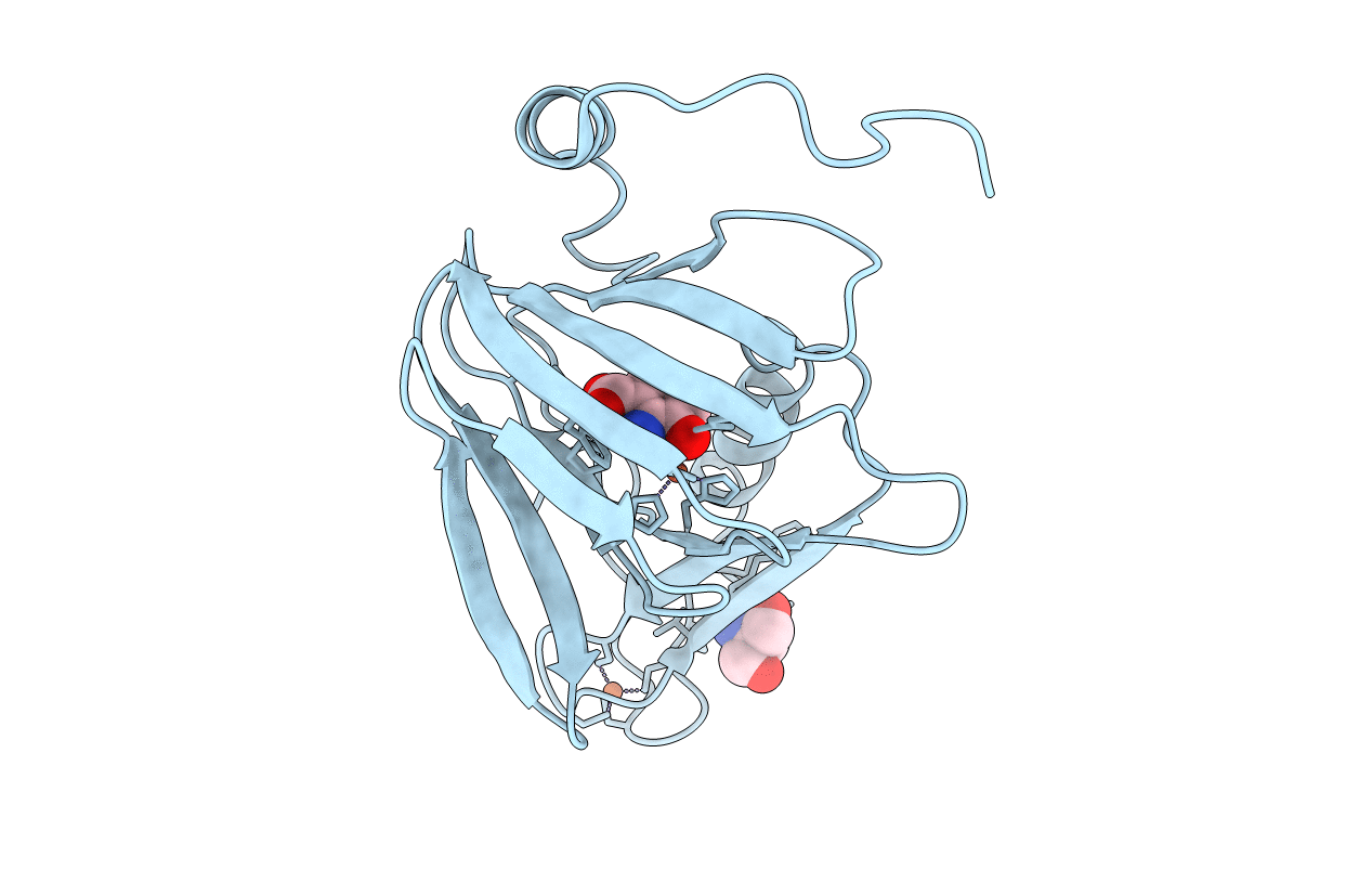6VI8 image