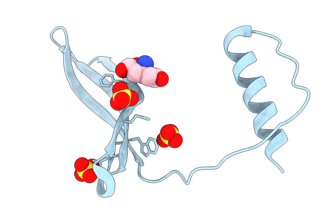 6VLP image