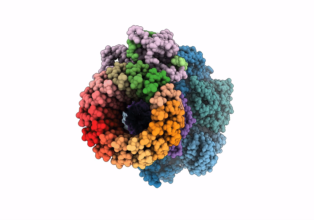 6VM4 image