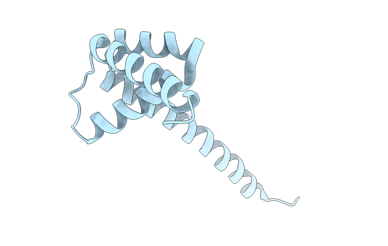 6VMT image