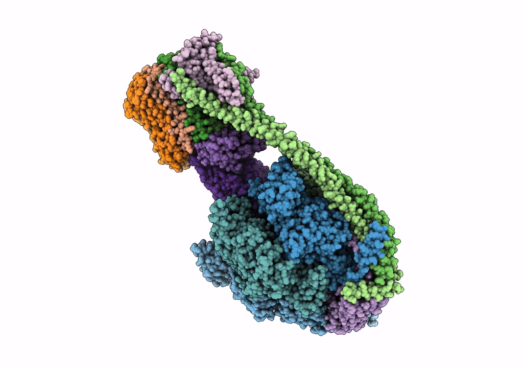 6VOH image