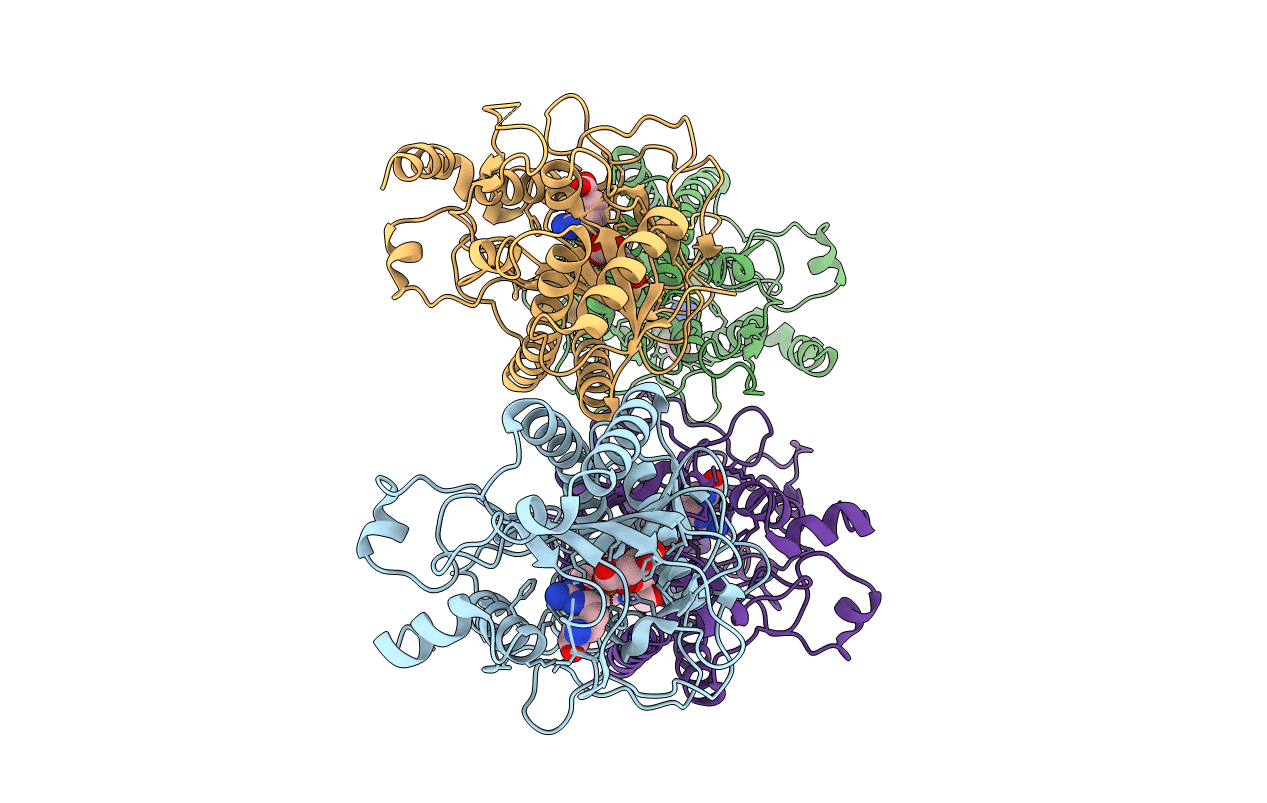 6VP4 image