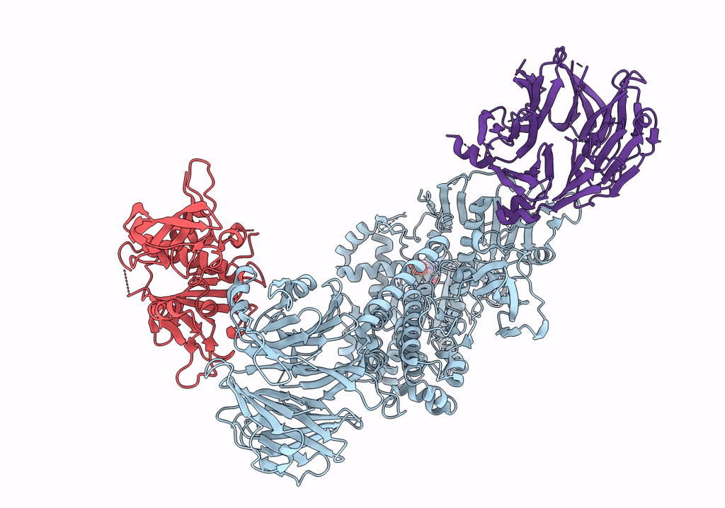 6VP6 image