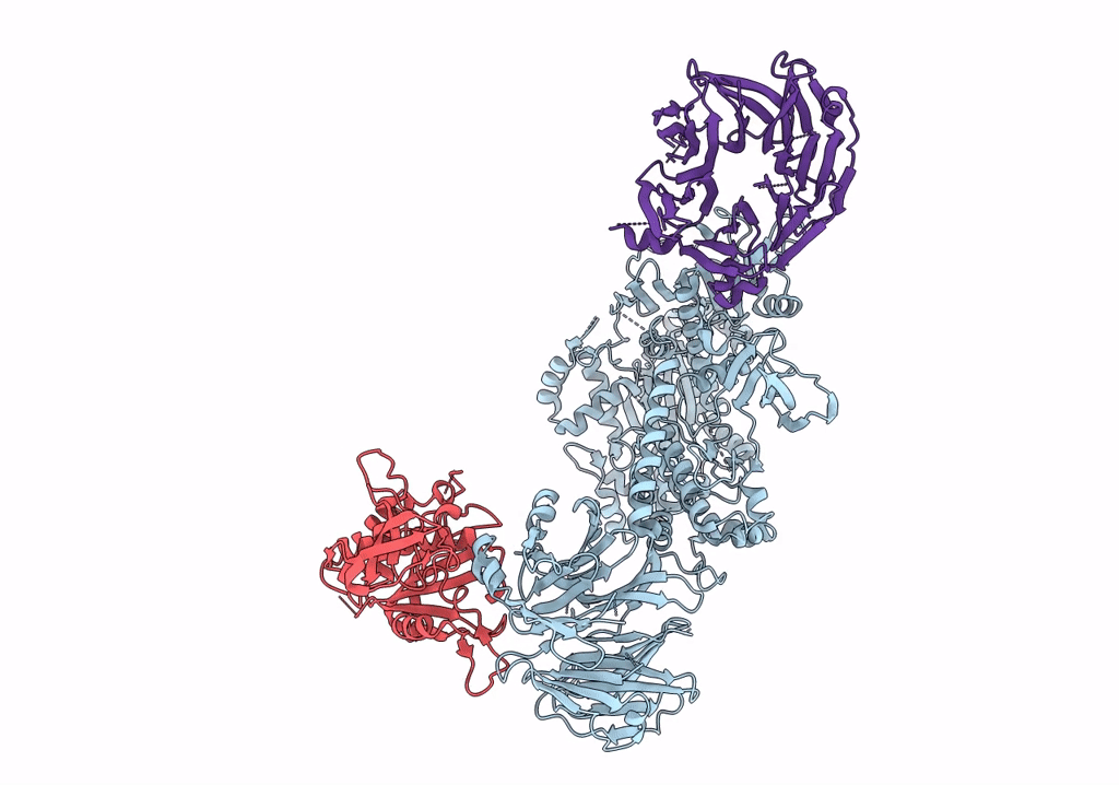 6VP8 image