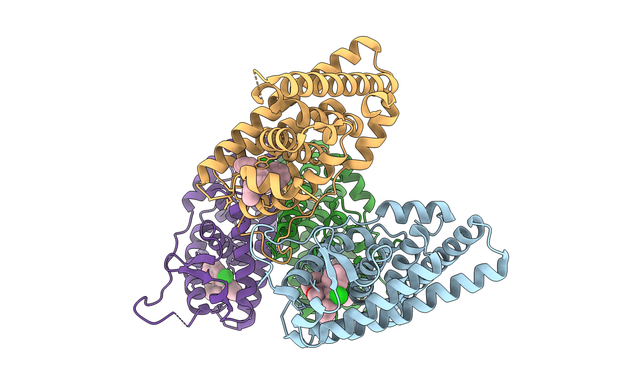 6VPF image