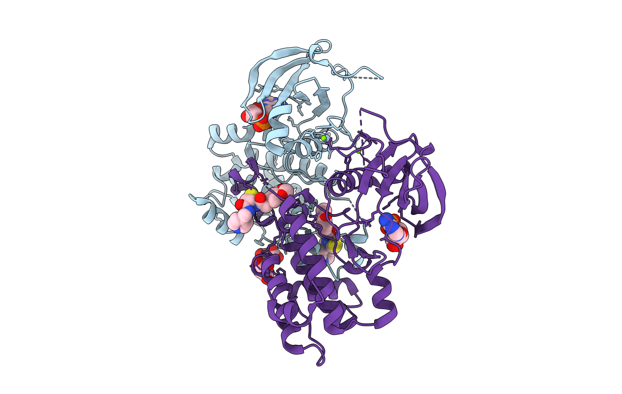 6VPM image
