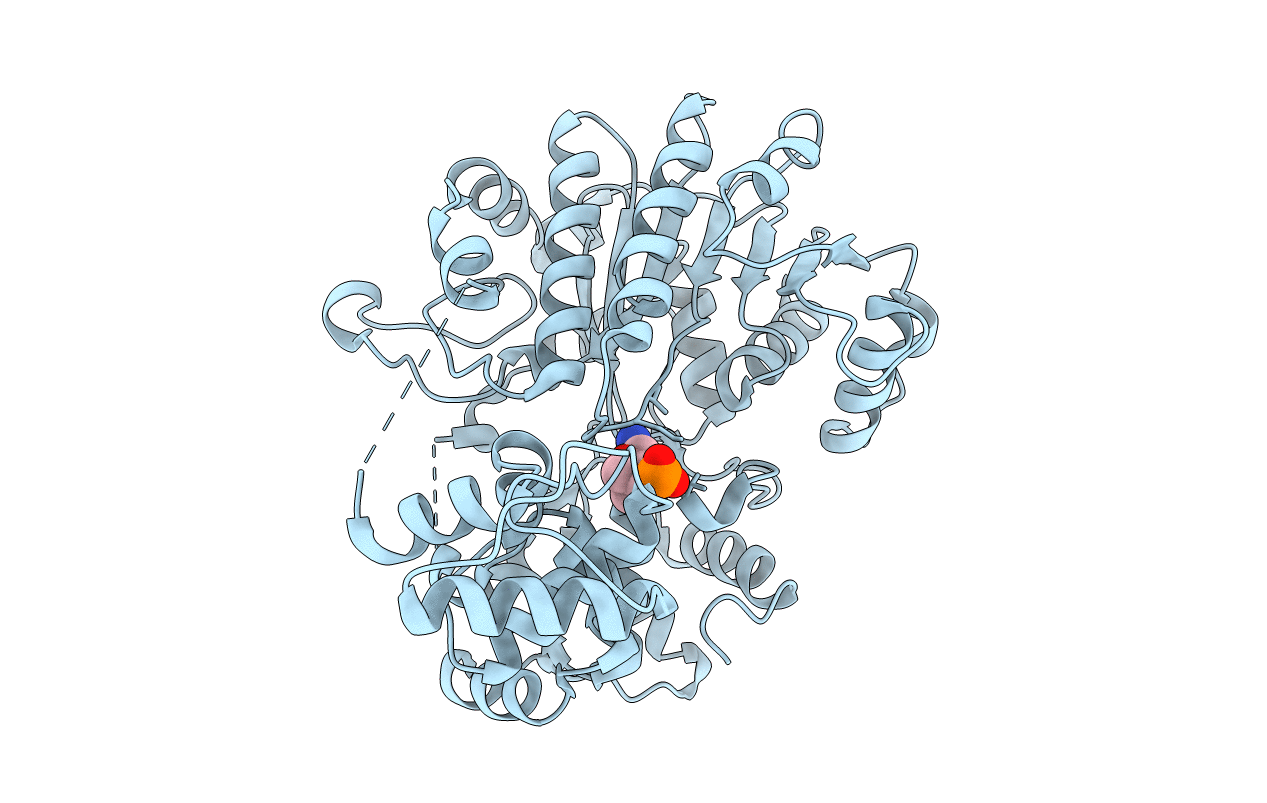 6VTJ image