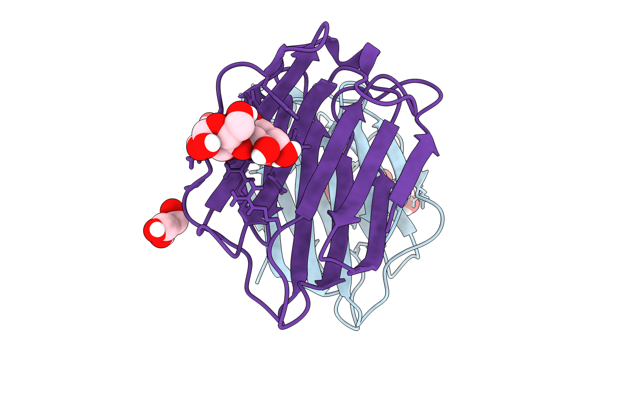 6VTS image