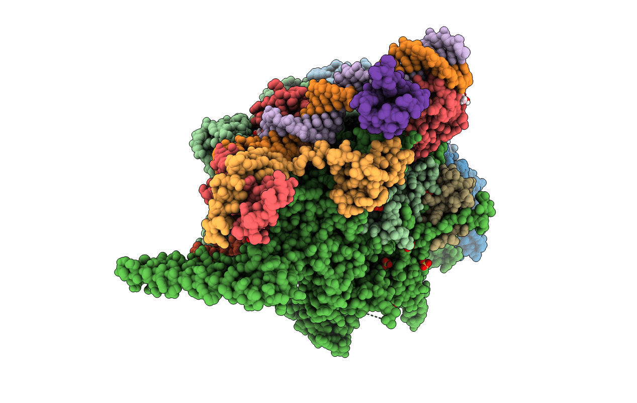 6VVS image