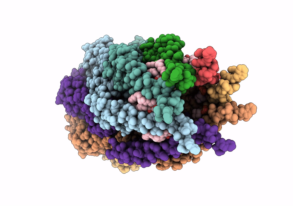 6VYK image