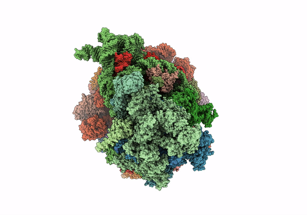 6VYX image