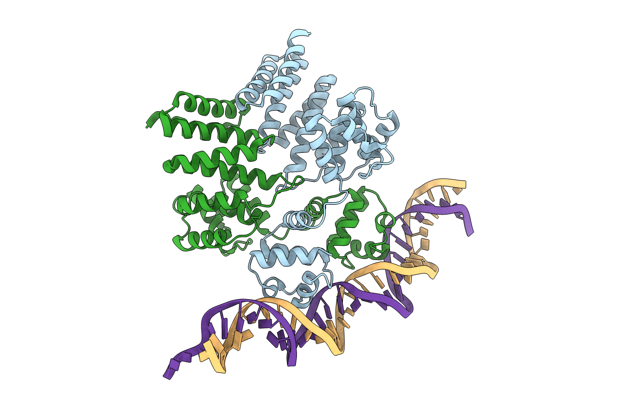6W1F image