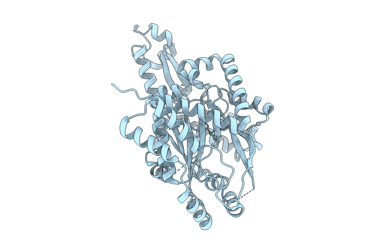 6W1G image