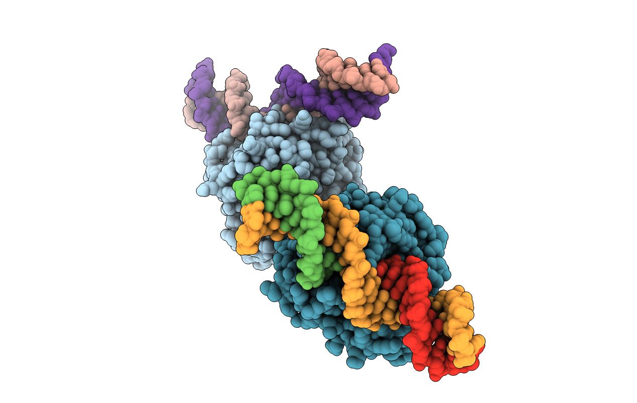 6W4I image