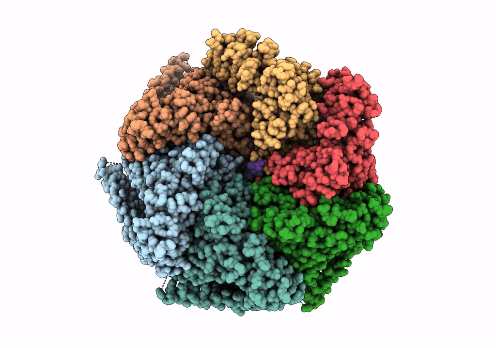 6W6I image
