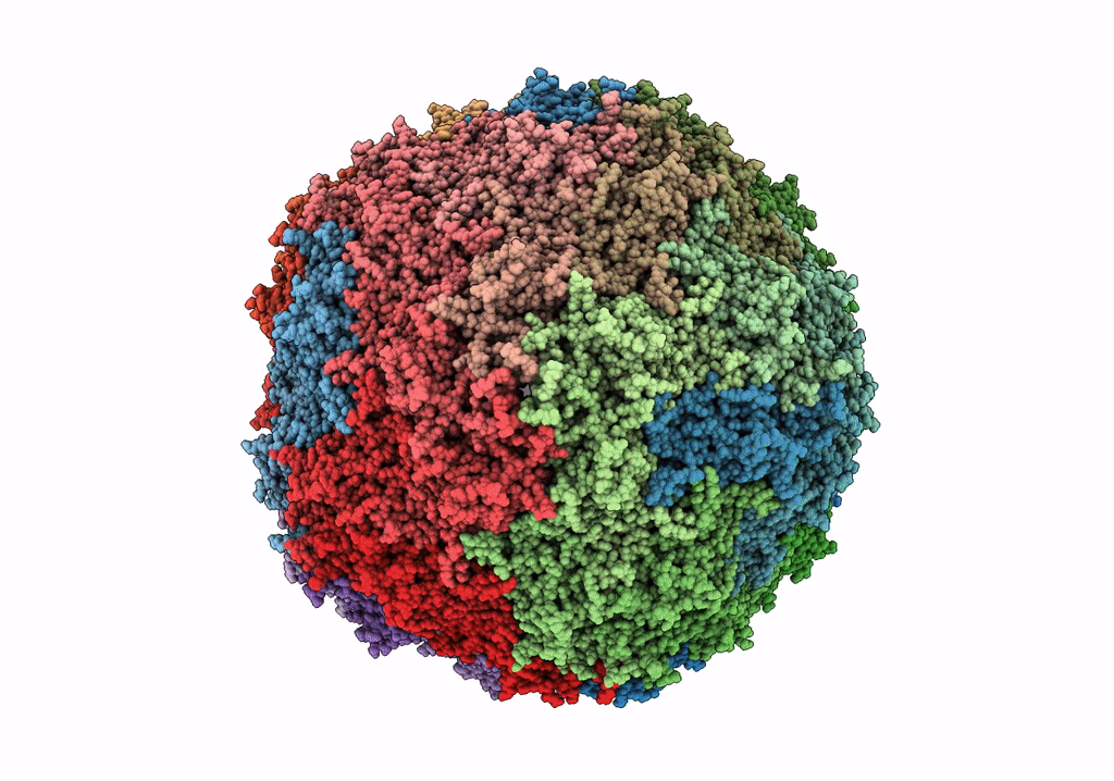 6WH3 image