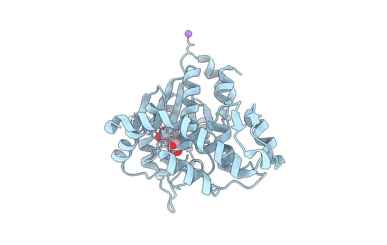 6WRN image