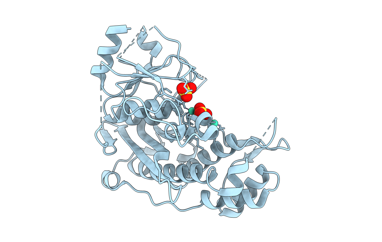 6WRR image