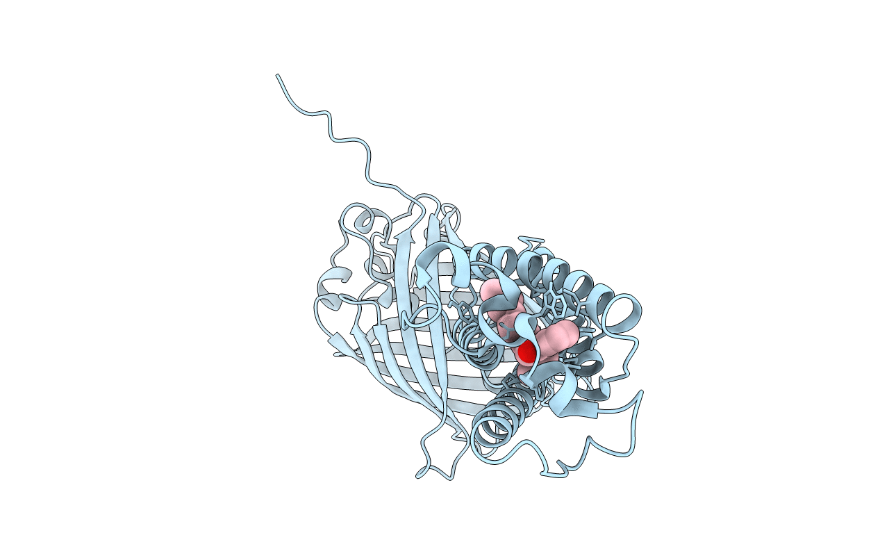 6WV8 image