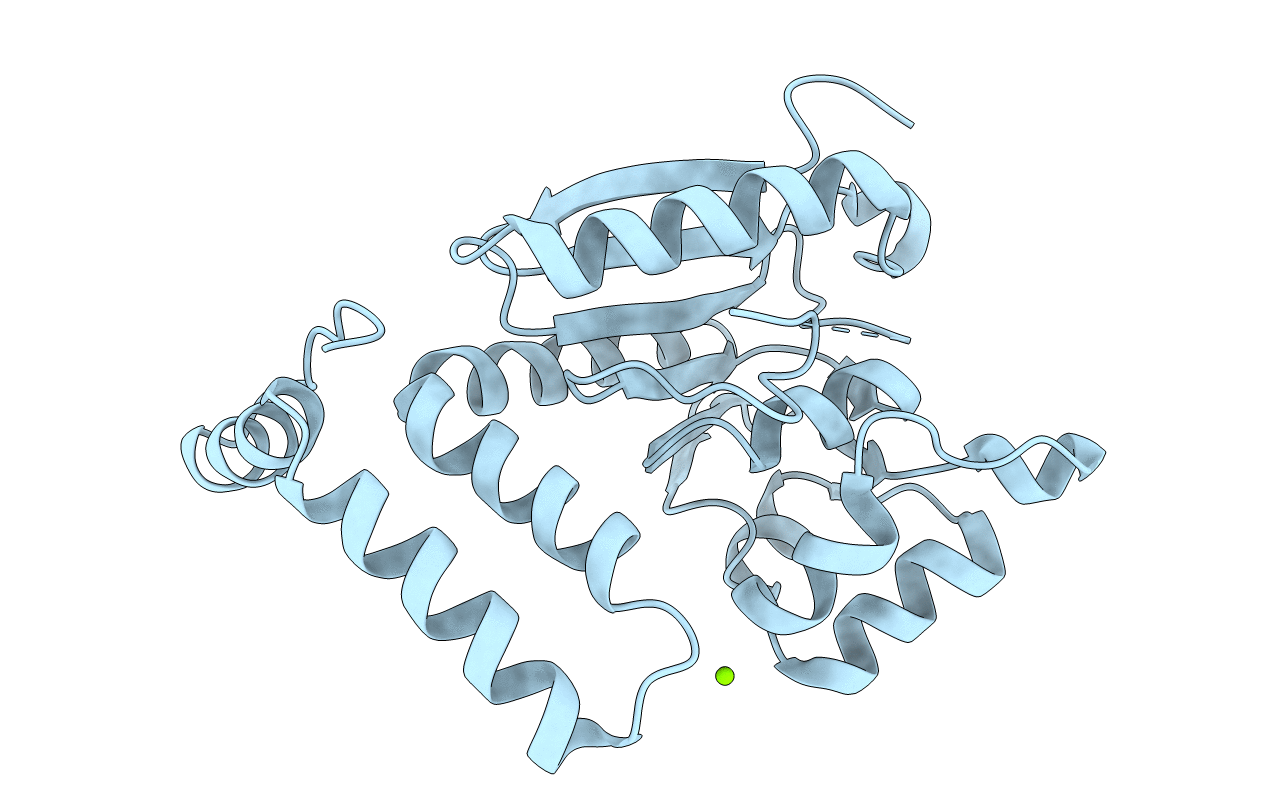 6WYI image