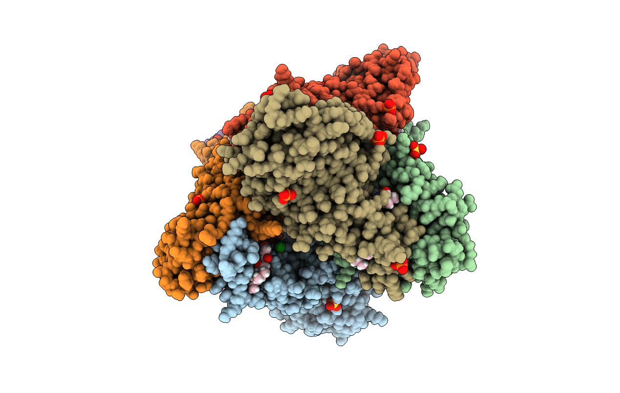 6X3C image
