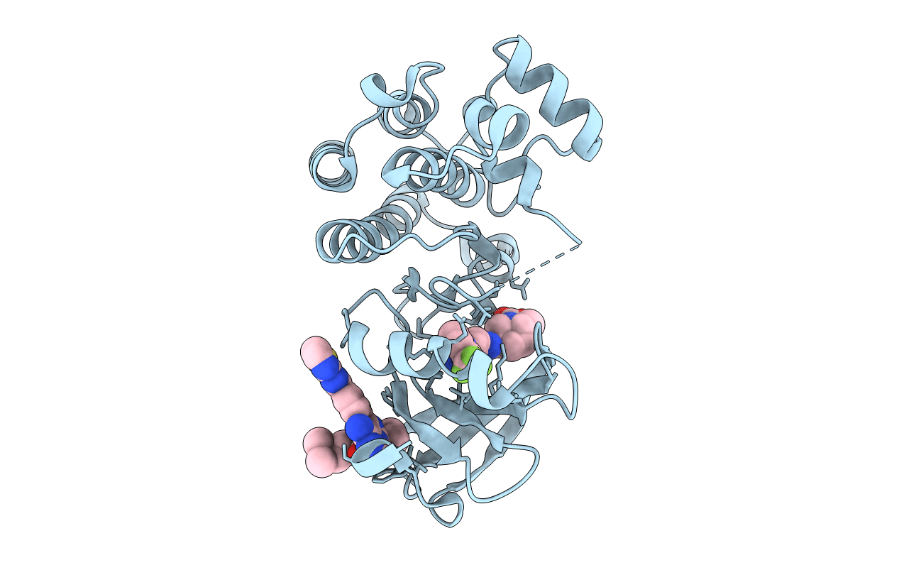 6X3N image