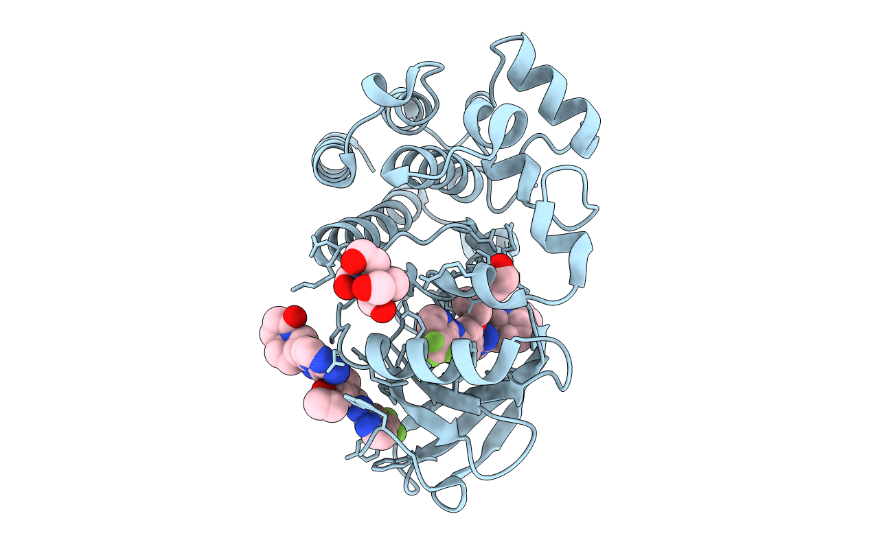 6X3P image