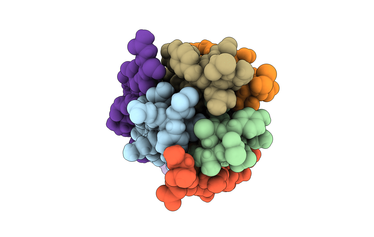 6X45 image
