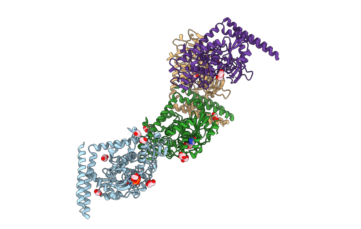 6X5H image