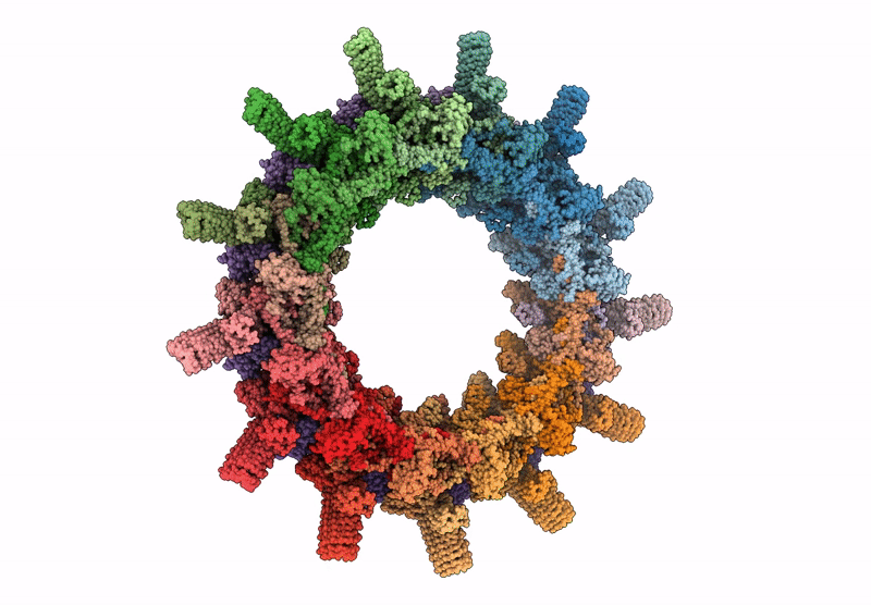 6X62 image