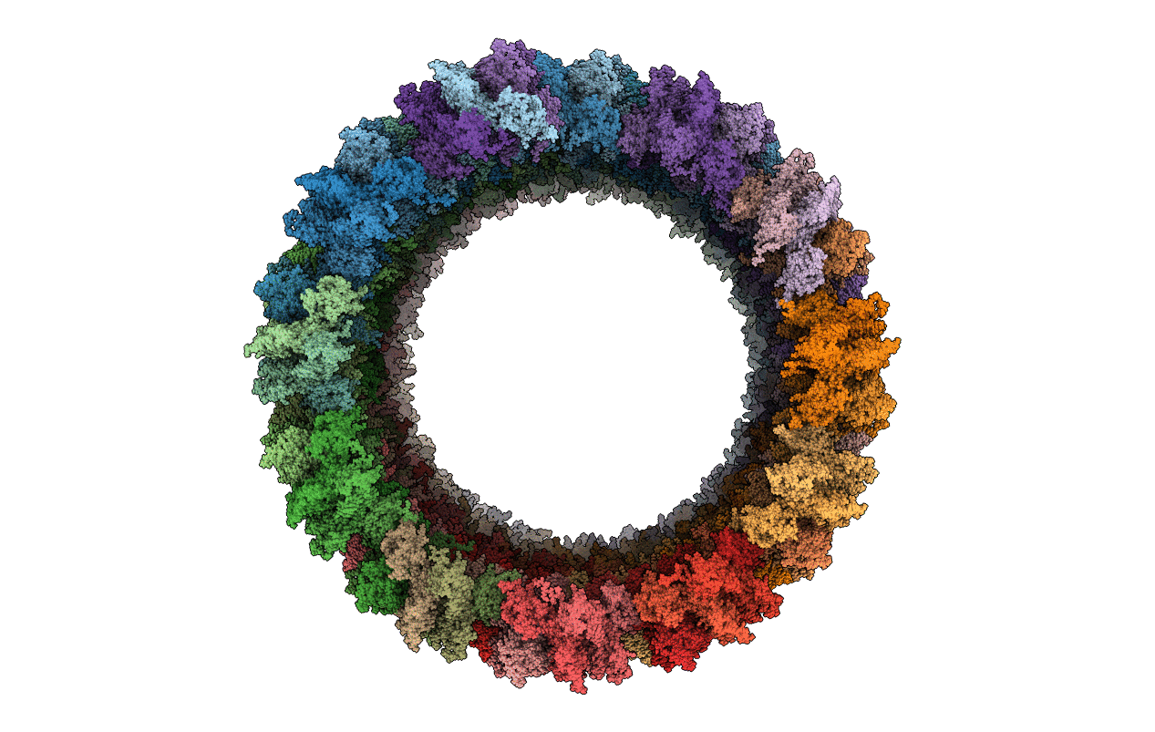 6X63 image