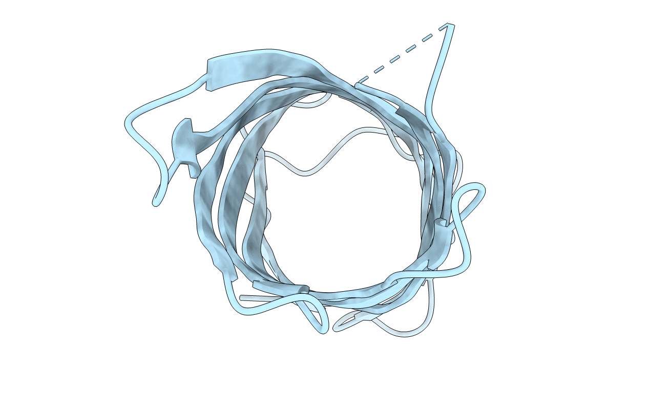6X9Z image