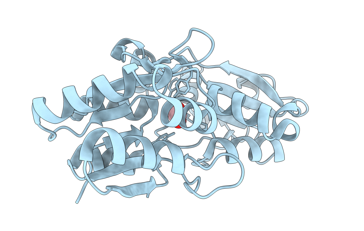 6XAD image