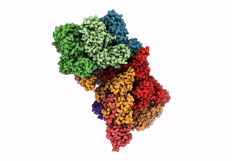 6XAS image