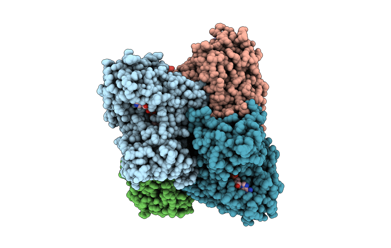 6XBB image