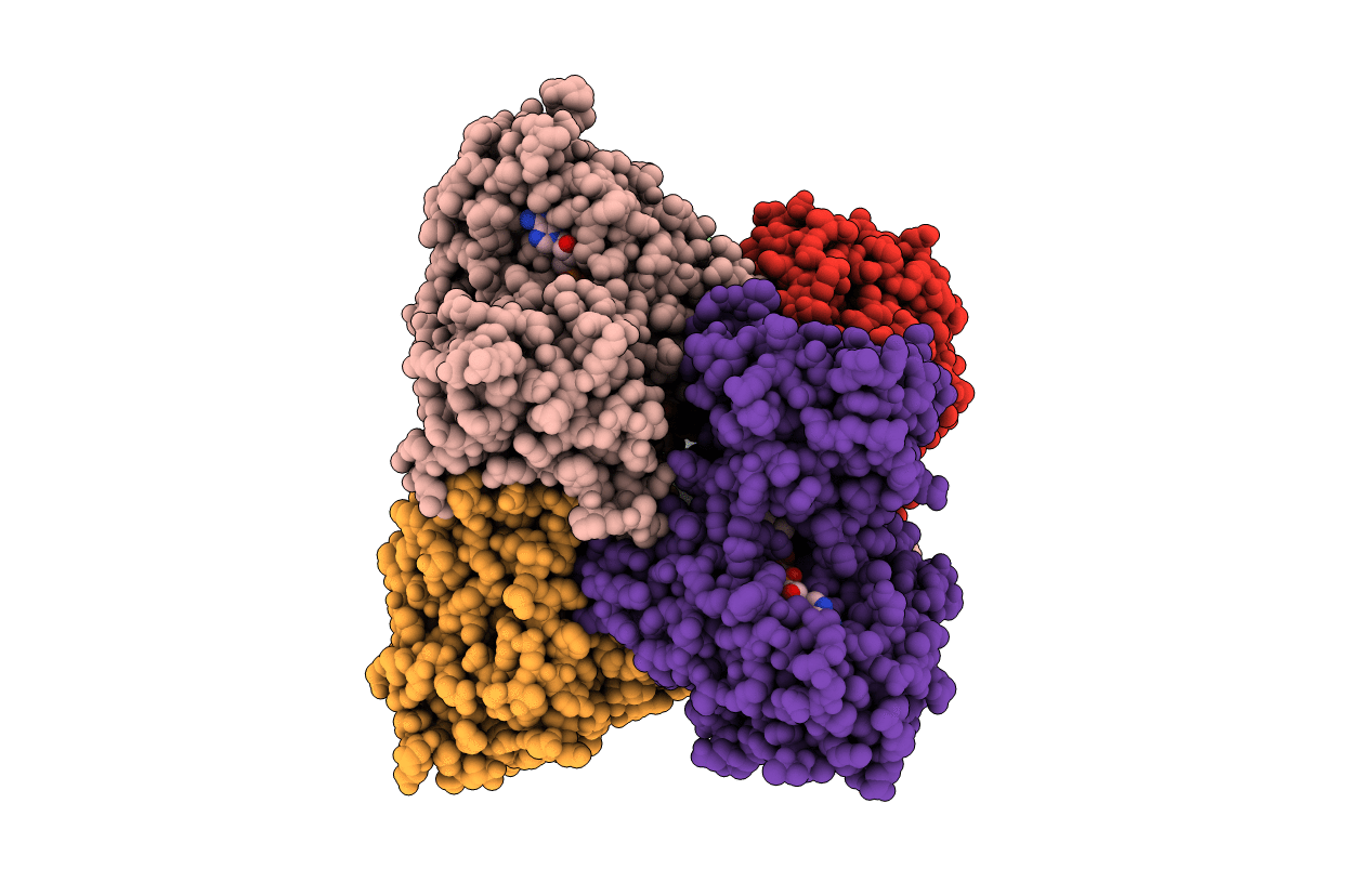 6XBC image