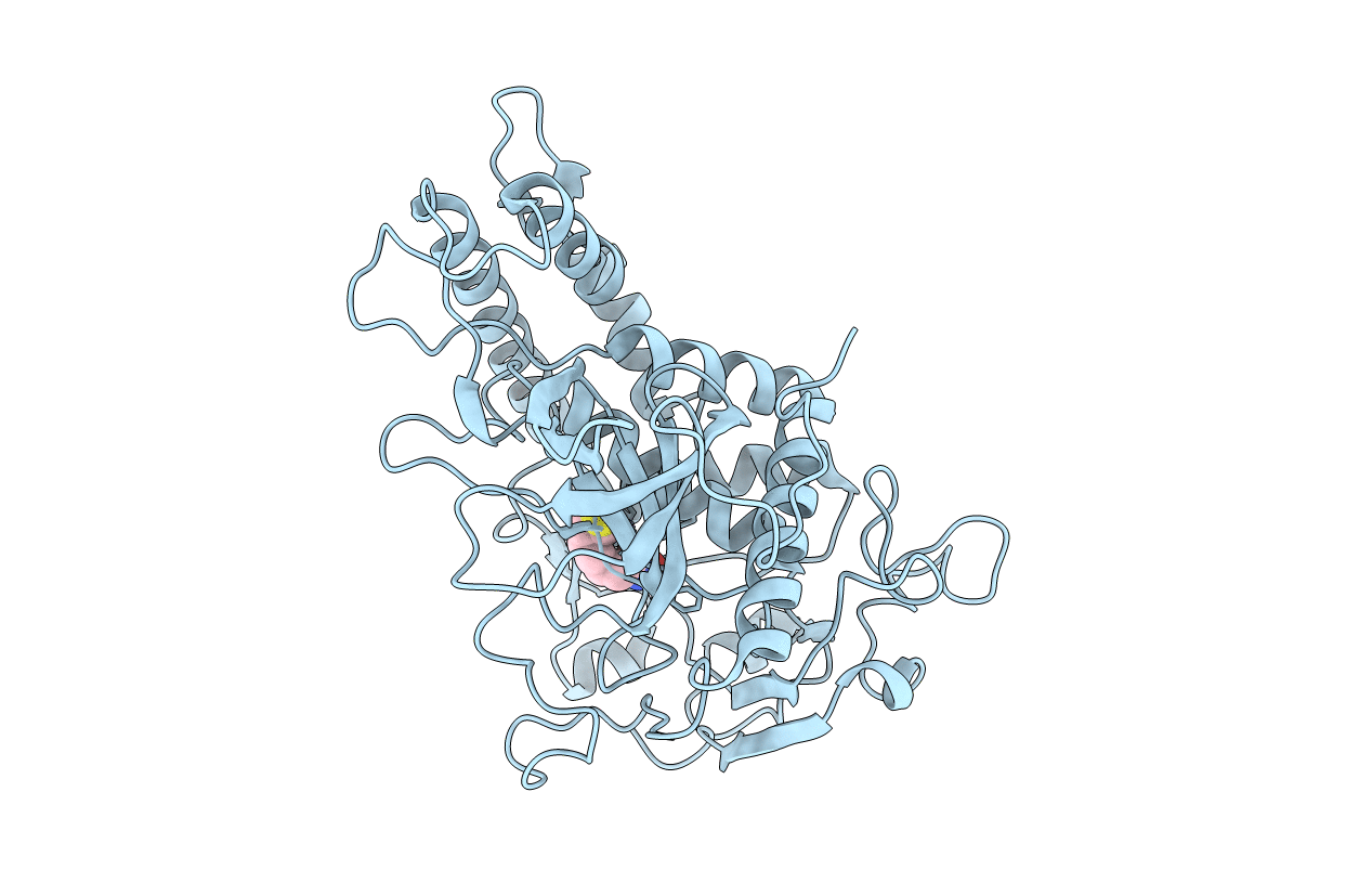 6XCD image