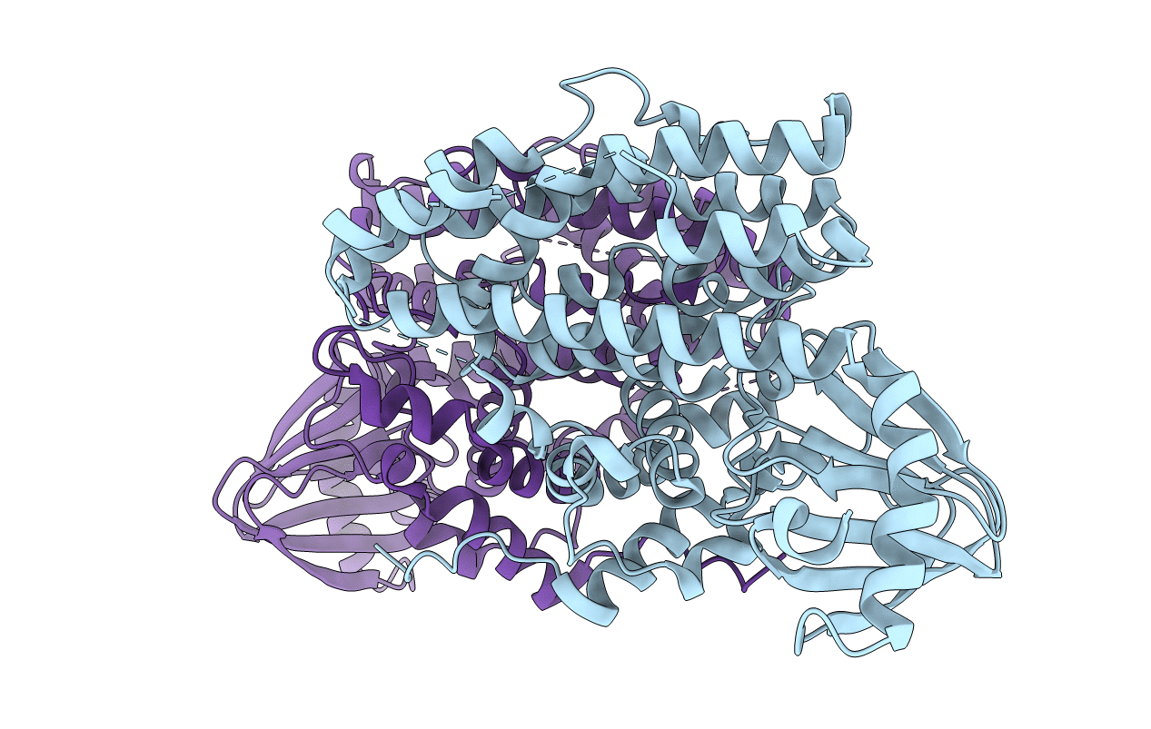 6XCV image