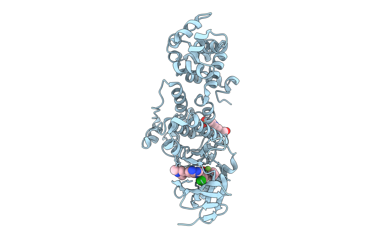 6XDB image