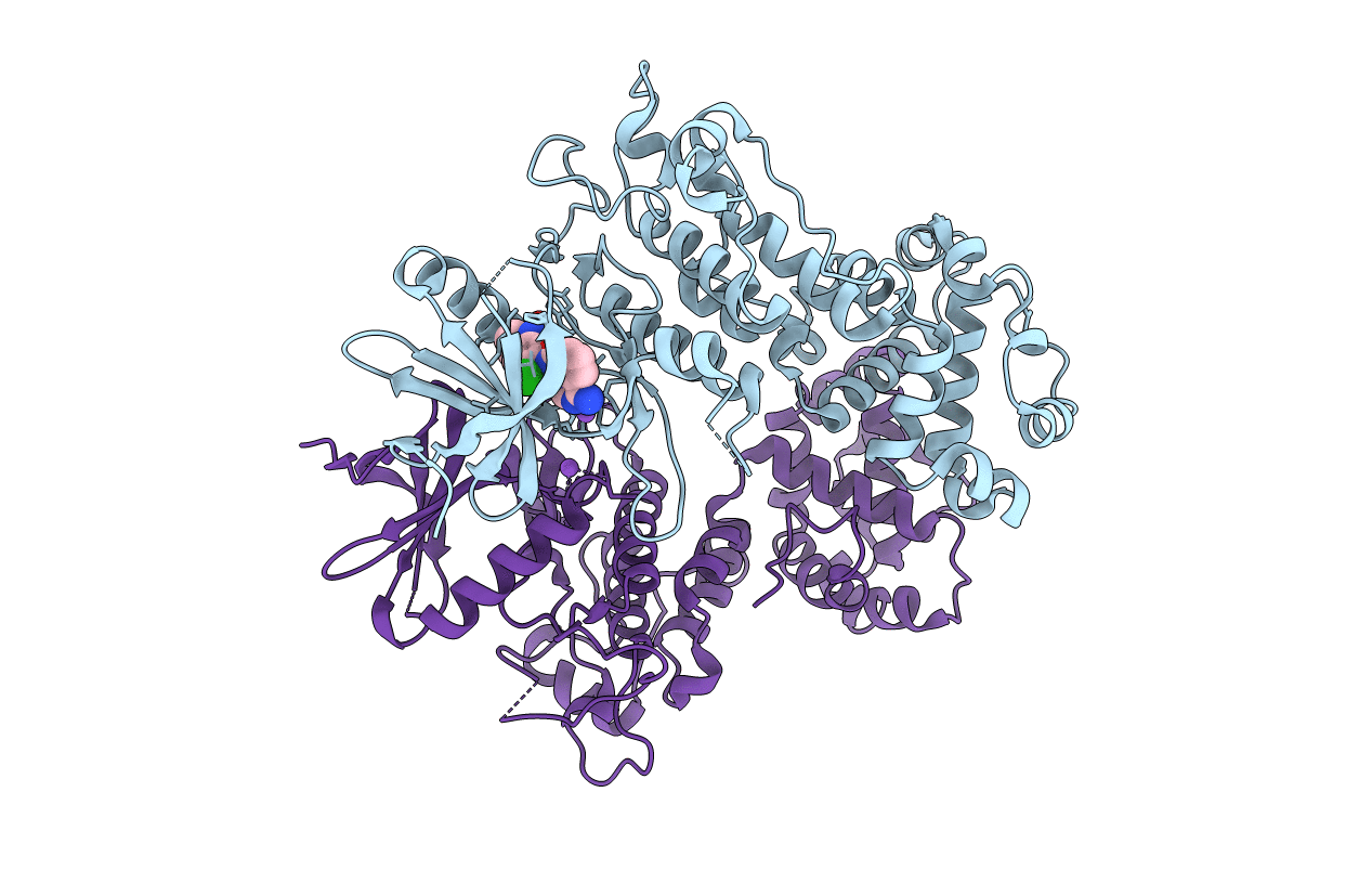 6XDF image