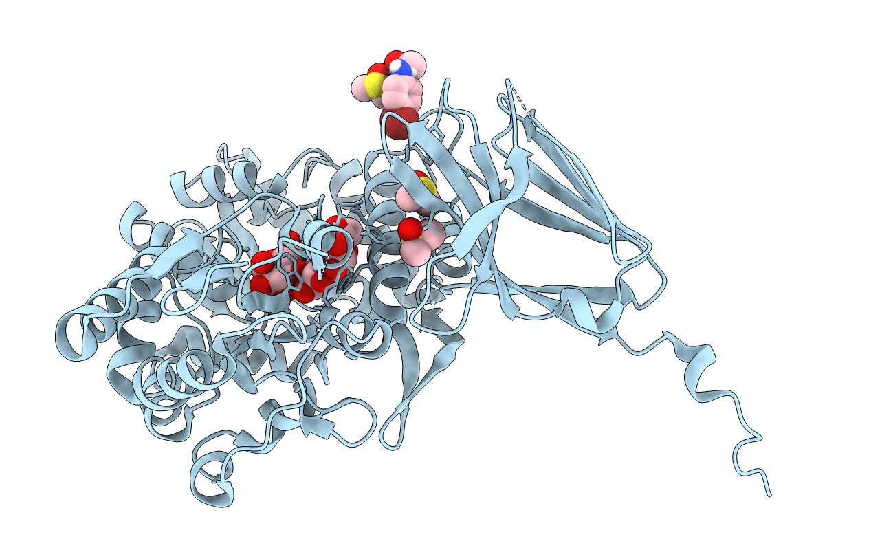 6XDS image
